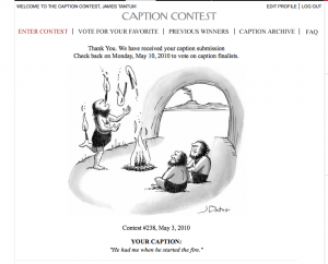 new yorker may 3, 2010